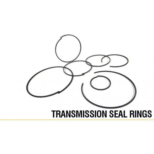 1T1355 (RING-SEAL)