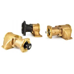4P7168 (AUXILIARY SEA WATER PUMP)