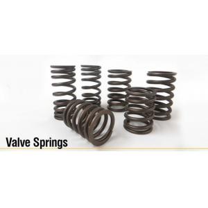 6I0284 (SPRING VALVE INNER)