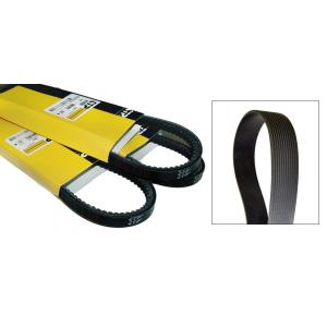 1359505 (SERPENTINE BELT)