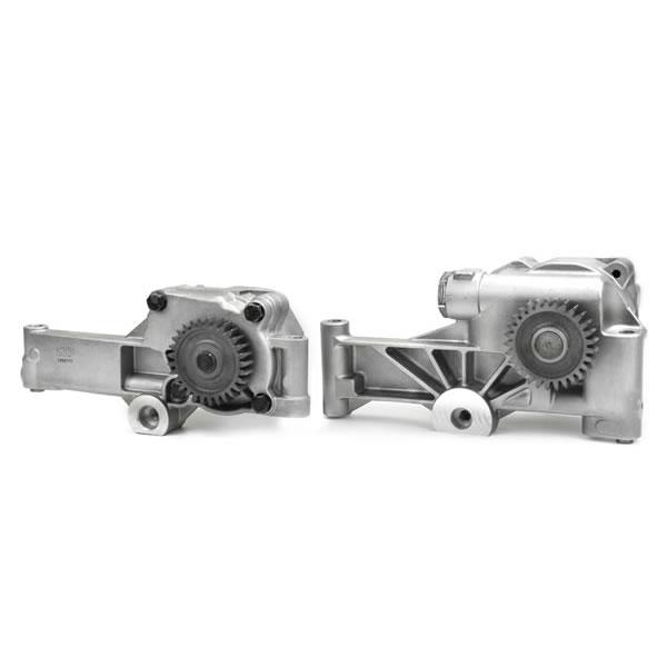 0676925 (ENGINE OIL PUMP)