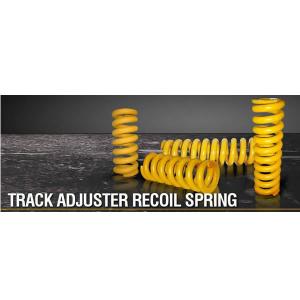 1017880 (SPRING RECOIL)